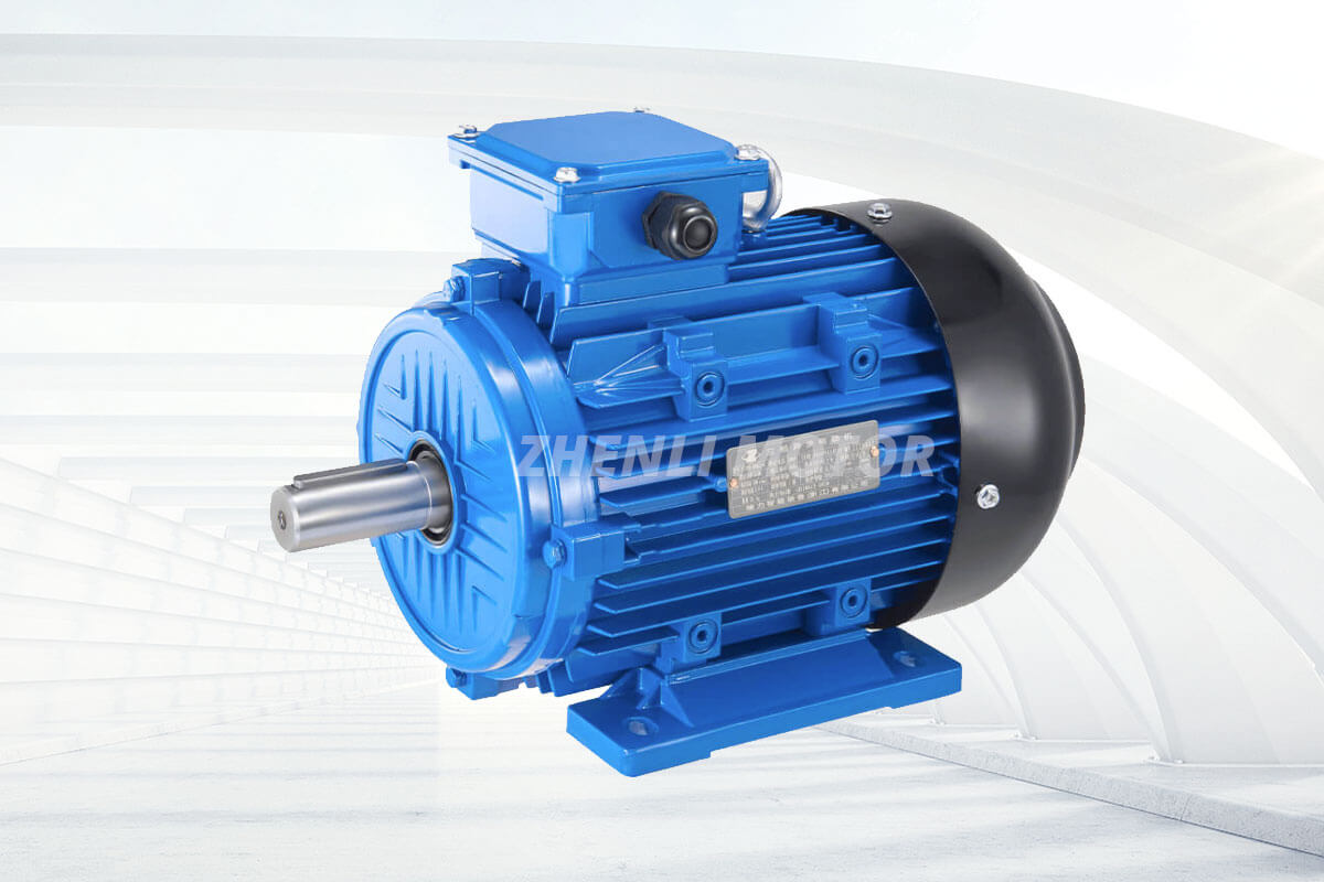ie5-highefficiency-three-phase-asynchronous-motor